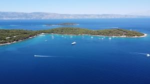 Stone Villa Hvar Ana and Nikola Beachfront