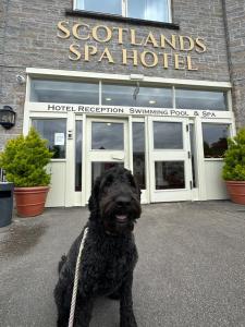 Bank House Pitlochry