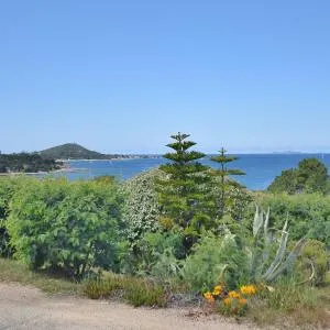 mare noi - 皮耶特罗塞拉