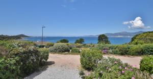 mare noi