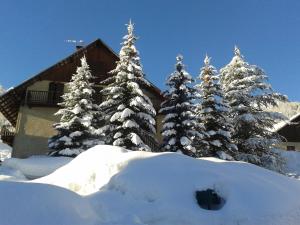 Appartements Appartement chalet 4 pers 45m2 Puy Saint Vincent : photos des chambres