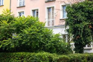 Magnolia Vision Apartment - Rynek