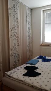 EN Homestay with private top floor, 3 bedrooms, bathroom, kitchenette, host stays downstairs with a cat and 2 small dogs --- CS Soukromé horní patro, 3 ložnice, koupelna, vařič, balkon - Přízemí sdílené s hostitelem, kočkou a 2 malými psy