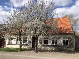 Landhof Trittelwitz - Borrentin