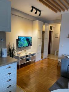 Apartment Cerska MRB