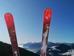 Chalets Chalet spacieux 10 pers. avec jardin, cheminee, cuisine equipee a Cohennoz, proche nature - FR-1-733-29 : photos des chambres