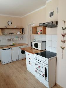 Domek Młodości z ogrodem