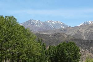 Tomillo Alojamiento Unidad 1 Bed and Breakfast Habitación con baño SIN COCINA