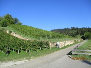 Ferienwohnung am Sulzbach