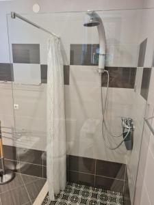 Quiet apartment in a private house - close to center, pet friendly