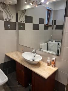 Quiet apartment in a private house - close to center, pet friendly