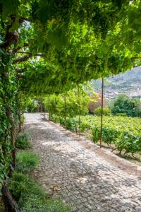 Casa de São Bernardo by LovelyStay