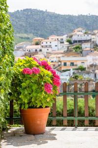 Casa de São Bernardo by LovelyStay