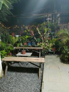 Yannas transient house