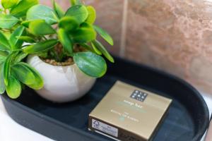 Privilege Apartment Aliança da Silva in the heart of Faro