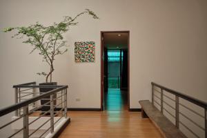 Tropical Poolhouse QC