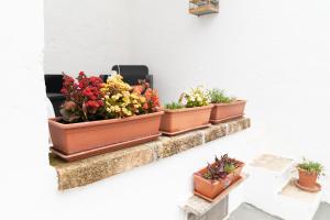 House il sogno di Mariella