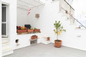 House il sogno di Mariella