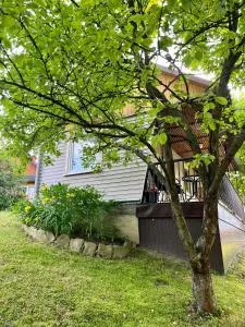 Chatka Bieszczadka - Mchawa