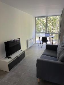 Appartements Appartement complet face a la gare de Grenoble : Appartement 1 Chambre