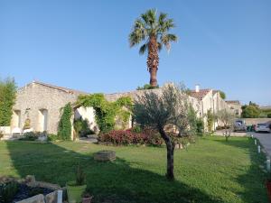 Villas Maison de Charme - Marechalerie - Nimes : photos des chambres