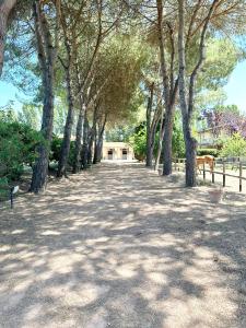 Turfrose di San Rossore a Pisa by Zoom In Earth