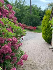 B&B / Chambres d'hotes Chambre d'Hotes du Domaine de la Haute Poignandiere : photos des chambres