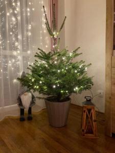 Apartman_Jarmila