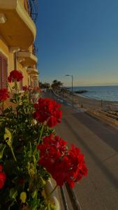 Hotel La Lampara