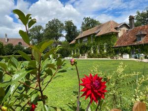 B&B / Chambres d'hotes L’Orangerie de Malpas : photos des chambres