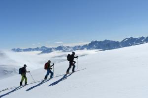 Ferienwohnungen Peisserhof