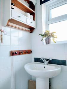 Dune Roamin: Sea Pallings Treasure - NOW with TV