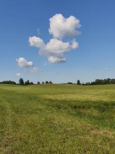 Agroturystyka Nowe Polaszki 10