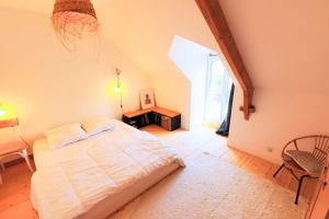 Maisons de vacances Nice nest with garden in the city center : photos des chambres