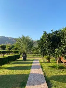 Plaj Hotel - Atbükü