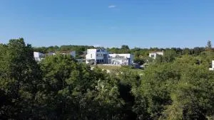 Villa Elsa with Private Pool Overlooking Private Olive Grove - Brusini