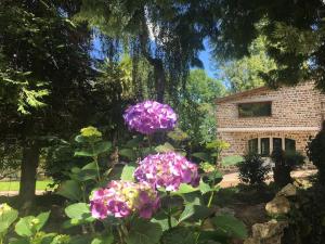 Maisons de vacances Gite Lilium Sauvagere a Gesvres : photos des chambres