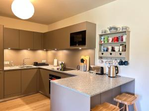 Luxueux Appartement au Centre des Gets avec Jardin, Proche Pistes, 3 Chambres, Wi-Fi, Parking - FR-1-623-338