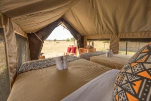 Africa Safari Serengeti Ikoma Camping