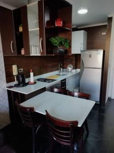 Bello Departamento Santiago Centro Estacionamiento