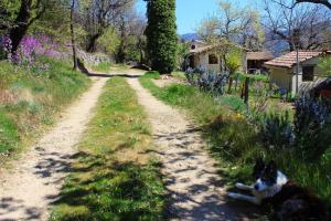 Chalets Chalet Instant Spa en montagne : photos des chambres