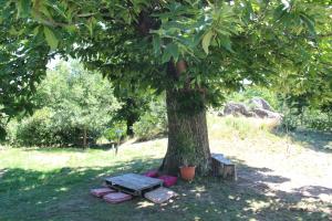 Sejours a la ferme Escapade insolite en pleine Nature : photos des chambres