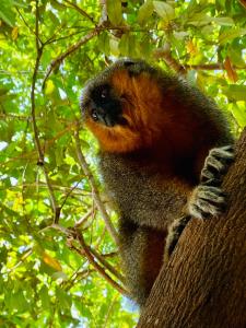Bangalô Ponta de Areia, na beira da praia