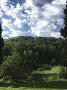 Sejours a la campagne Les chambres d'Agath'anes : Chambre Double avec Terrasse