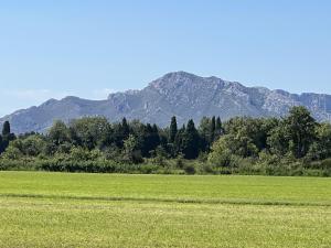 Maisons de vacances Mazet au pied des Alpilles, avec Piscine & Petanque : photos des chambres