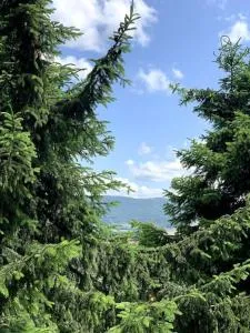 Apartament Słoneczny Świerkowa - Buczkowice