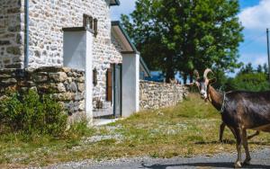 La Ferme de Beauregard SPA -LANARCE 07660 - jacuzzi et sauna