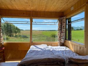 bieszczadzki holender