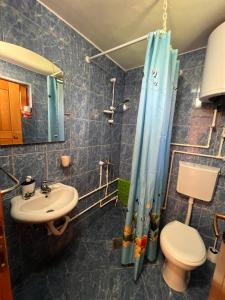 Apartmani Beli medved