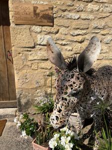 Le clos de l’Âne Dentelle